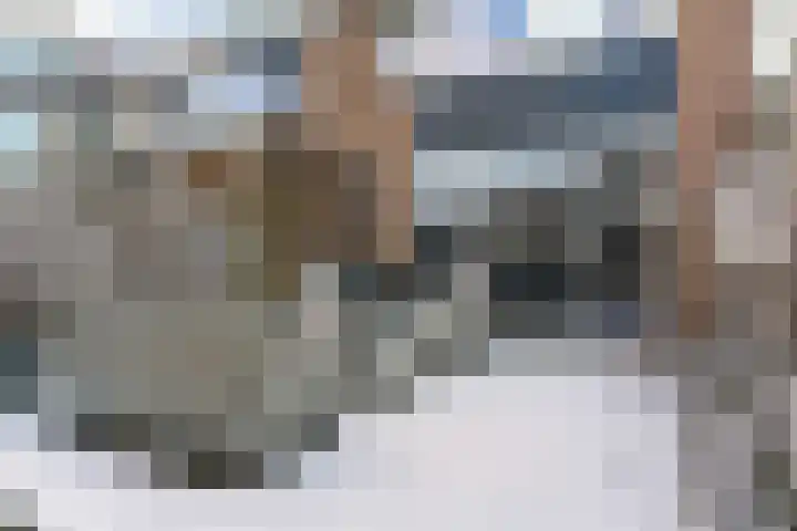 Zeemandreef 83 Maassluis thumbnail 36