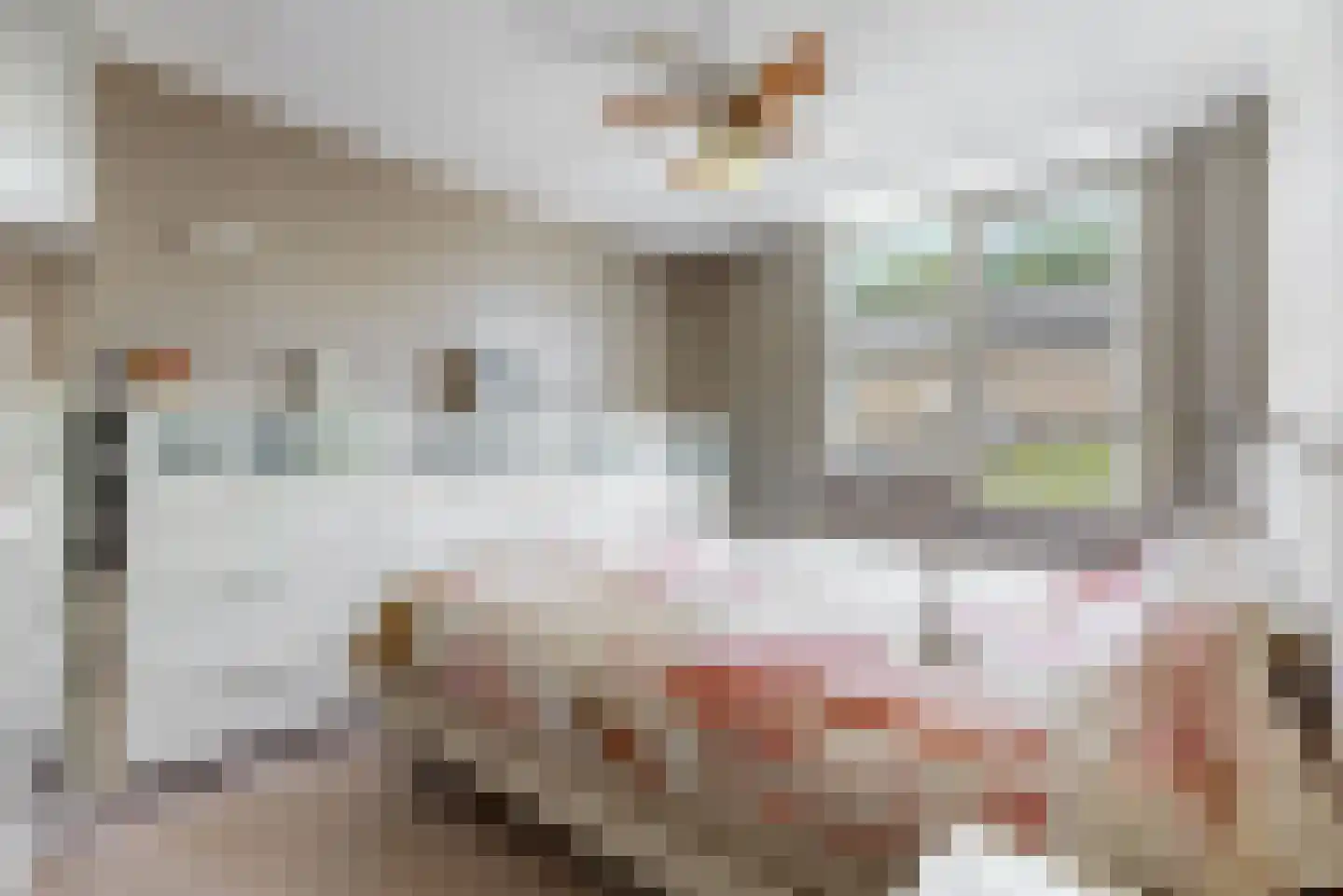 Zeemanhof 17 Kudelstaart thumbnail 18