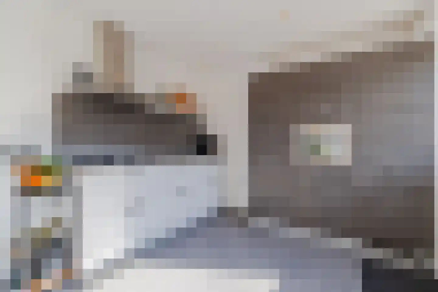 Zeemanhof 36 Schoonhoven thumbnail 11