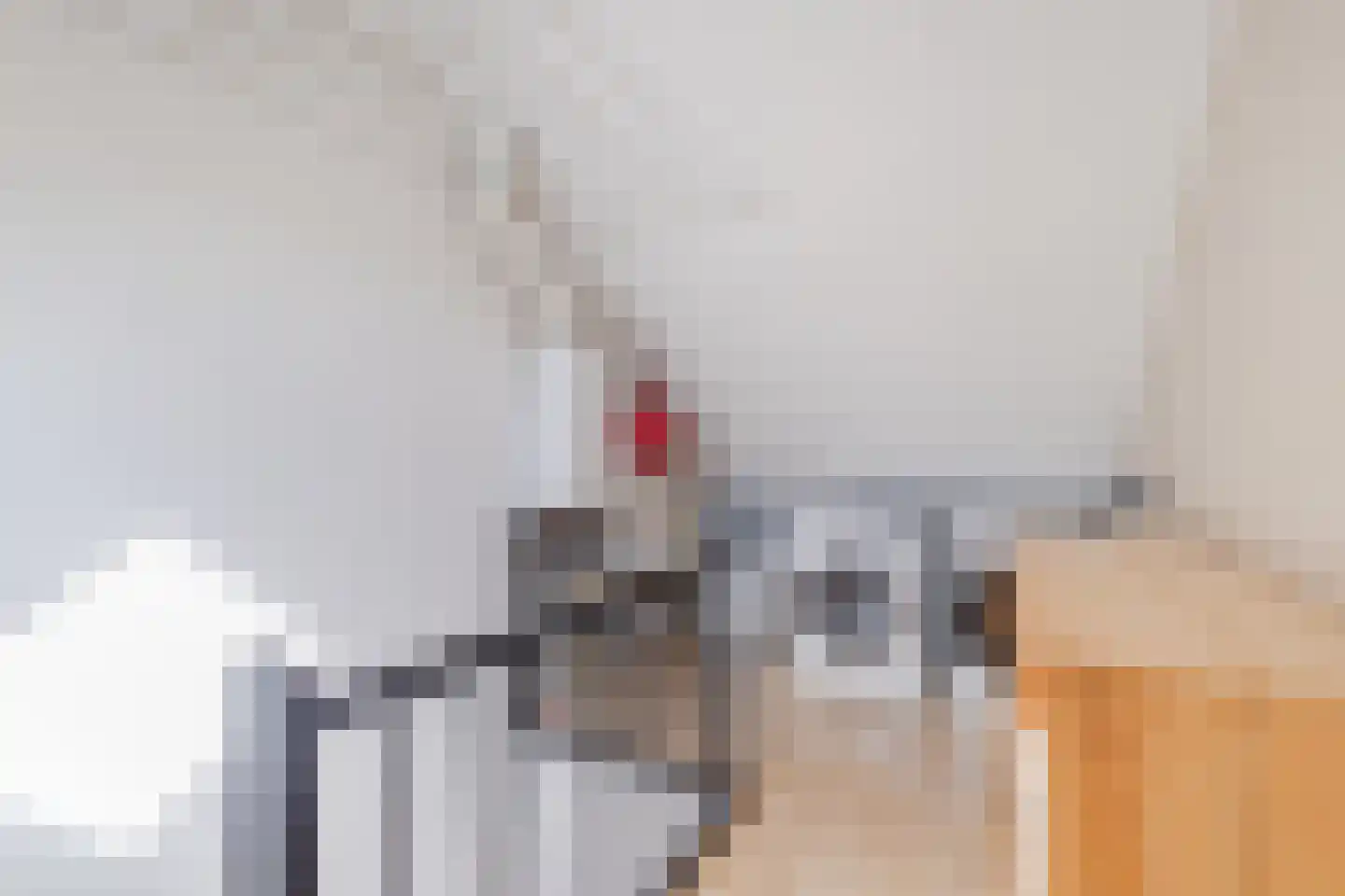 Zeemanhof 36 Schoonhoven thumbnail 28