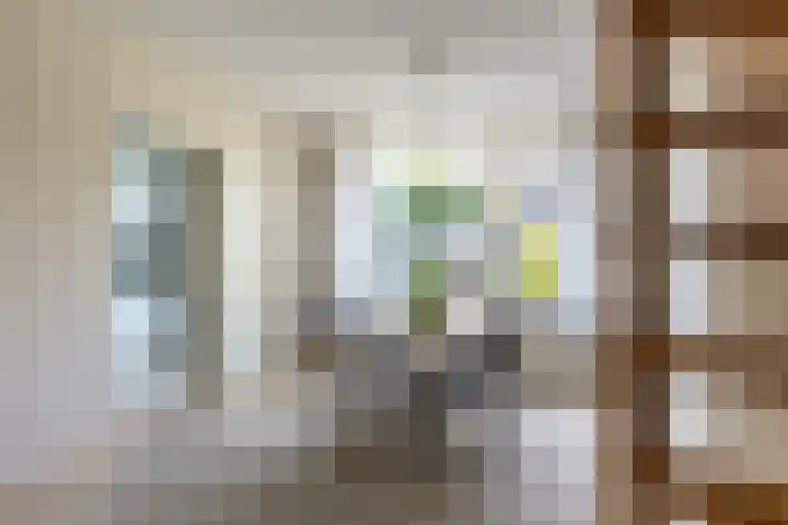 Zeemanhof 4 Schoonhoven thumbnail 11