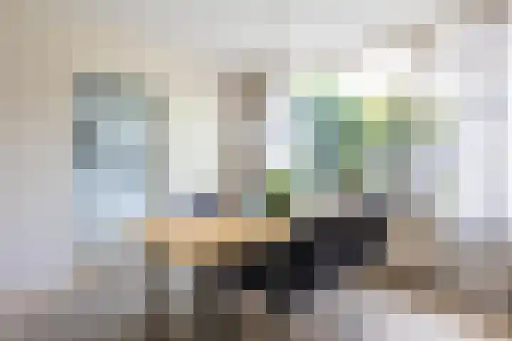 Zeemanhof 4 Schoonhoven thumbnail 12