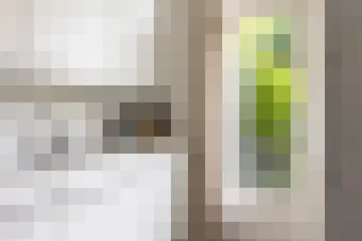 Zeemanhof 4 Schoonhoven thumbnail 14