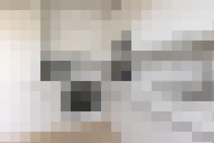 Zeemanhof 4 Schoonhoven thumbnail 15