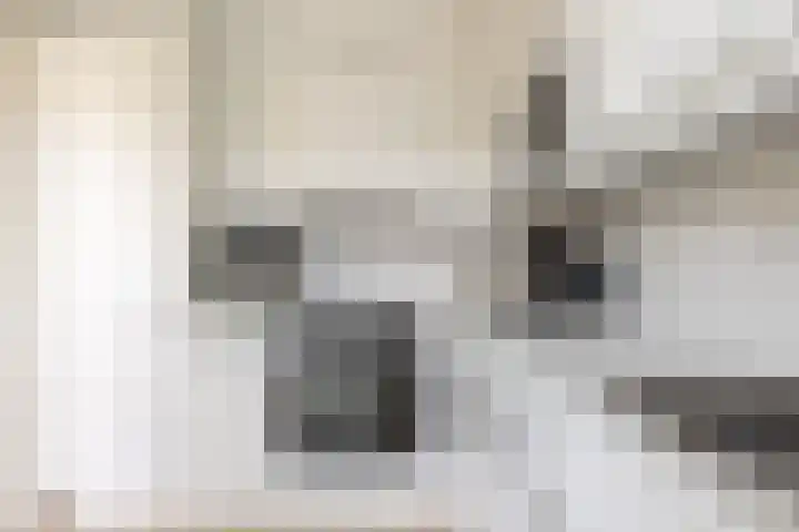 Zeemanhof 4 Schoonhoven thumbnail 16