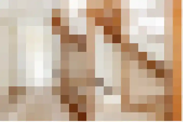 Zeemanhof 4 Schoonhoven thumbnail 26