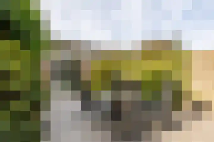 Zeemanhof 4 Schoonhoven thumbnail 30