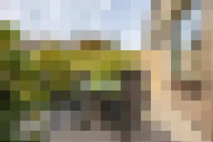Zeemanhof 4 Schoonhoven thumbnail 31