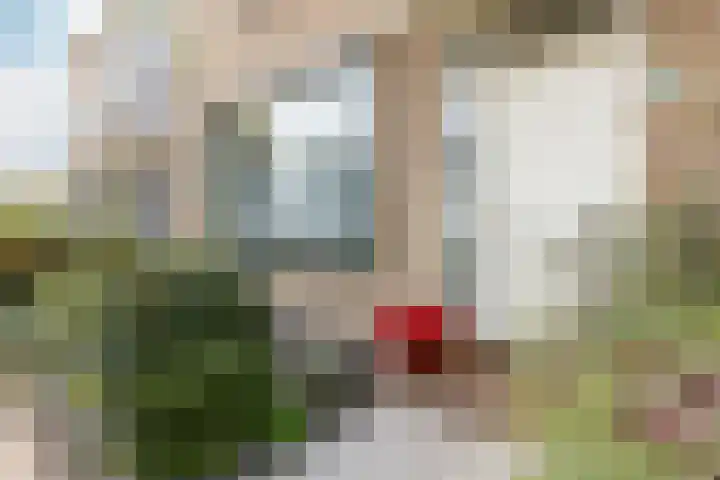 Zeemanhof 4 Schoonhoven thumbnail 36