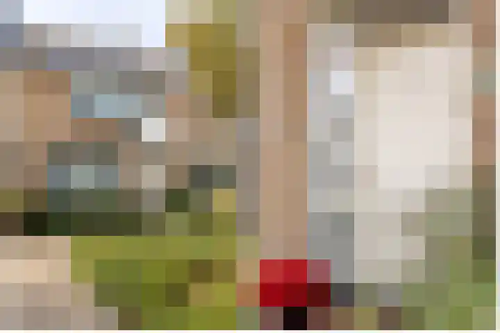 Zeemanhof 4 Schoonhoven thumbnail 37