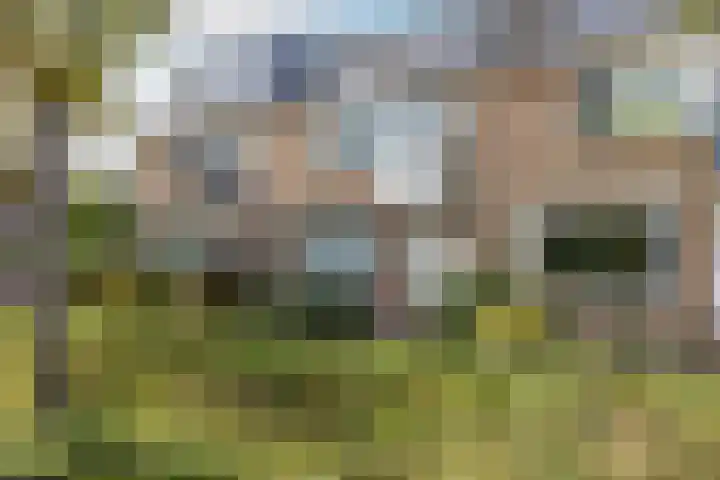 Zeemanhof 4 Schoonhoven thumbnail 38