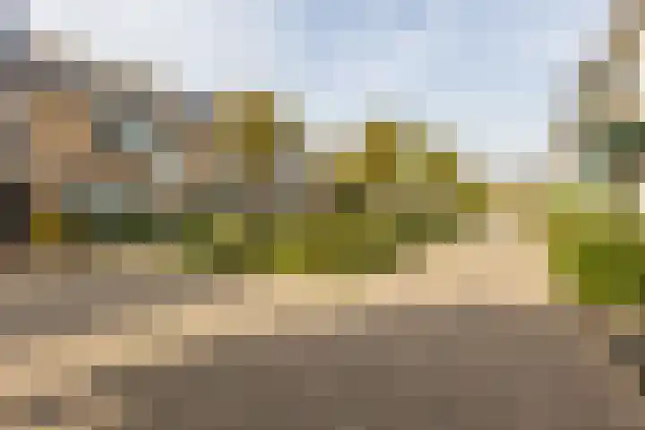 Zeemanhof 4 Schoonhoven thumbnail 40