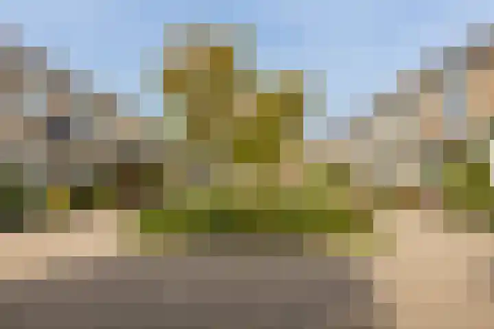 Zeemanhof 4 Schoonhoven thumbnail 41