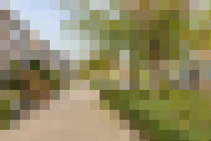 Zeemanhof 4 Schoonhoven thumbnail 42