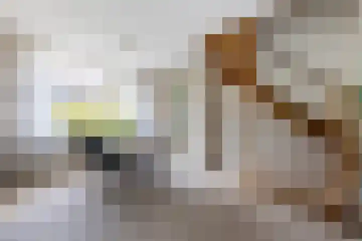 Zeemanhof 4 Schoonhoven thumbnail 6