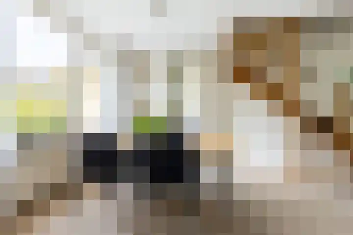 Zeemanhof 4 Schoonhoven thumbnail 7