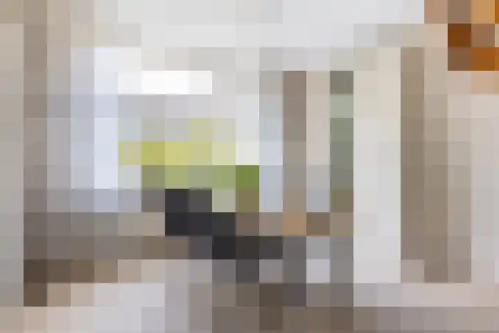 Zeemanhof 4 Schoonhoven thumbnail 8