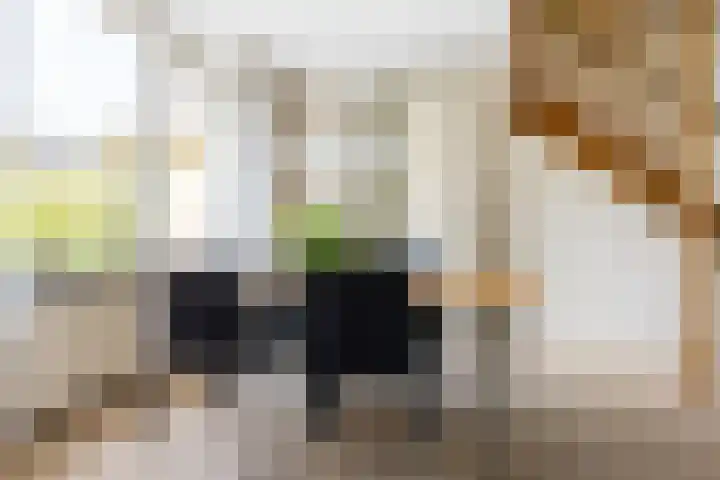 Zeemanhof 4 Schoonhoven thumbnail 9