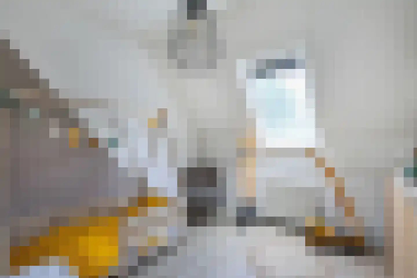 Zeemanhof 5 Nijkerk thumbnail 15