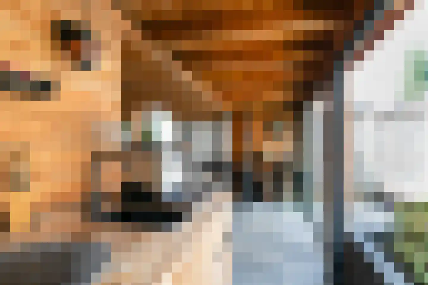 Zeemanhof 5 Nijkerk thumbnail 31