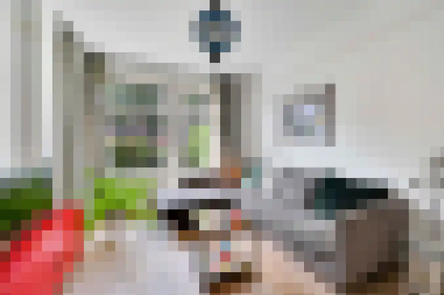 Zeemanlaan 10 Leiden thumbnail 12