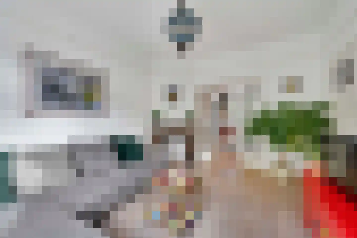 Zeemanlaan 10 Leiden thumbnail 13