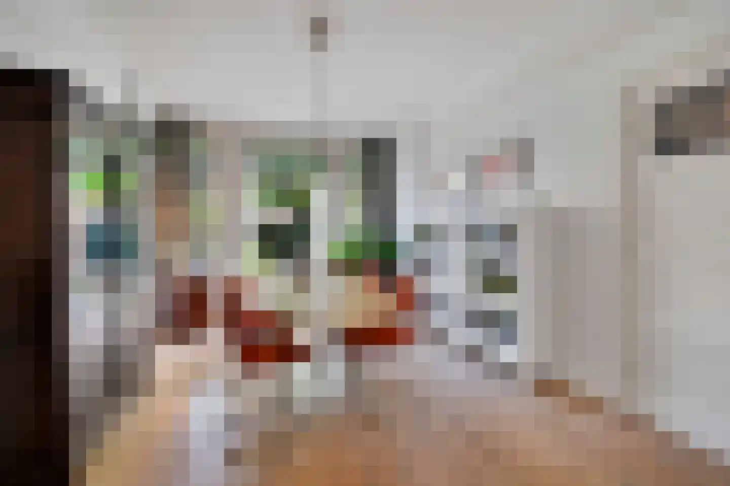 Zeemanlaan 10 Leiden thumbnail 17