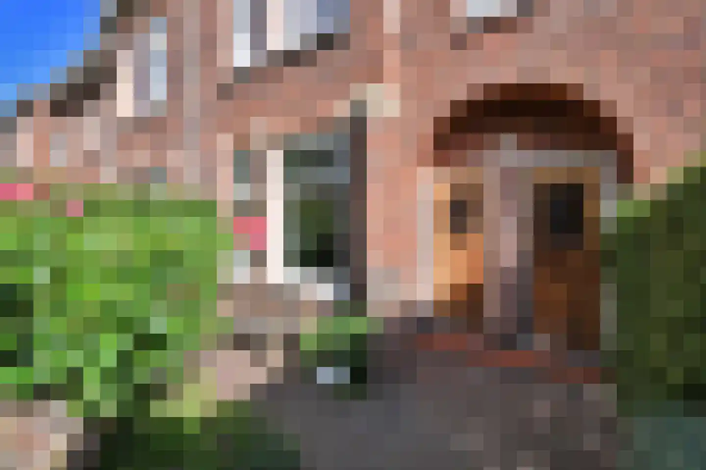 Zeemanlaan 10 Leiden thumbnail 6