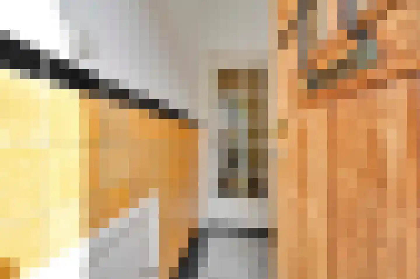 Zeemanlaan 10 Leiden thumbnail 8