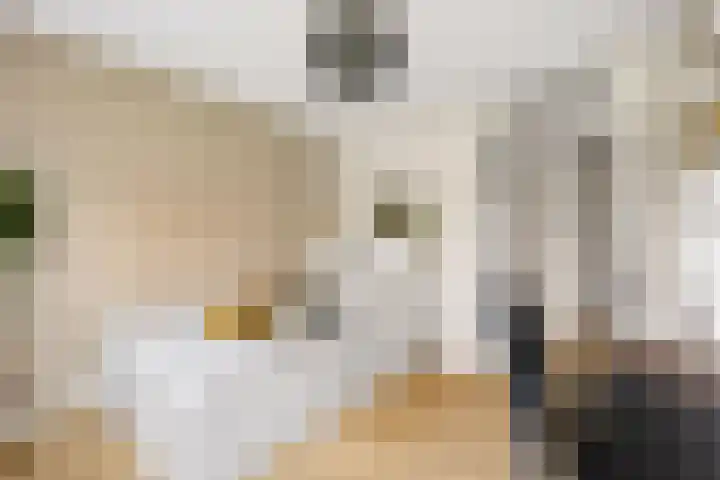 Zeemanlaan 122 Utrecht thumbnail 22