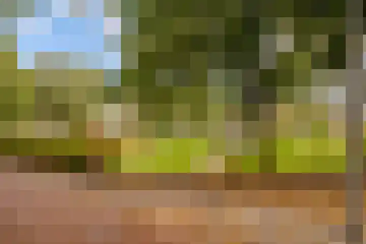 Zeemanlaan 122 Utrecht thumbnail 31