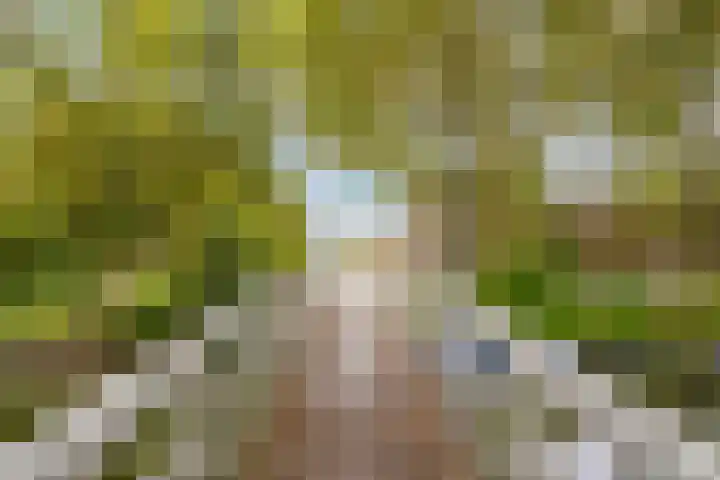 Zeemanlaan 122 Utrecht thumbnail 33