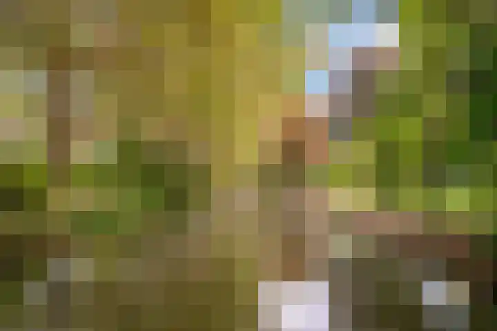 Zeemanlaan 122 Utrecht thumbnail 34