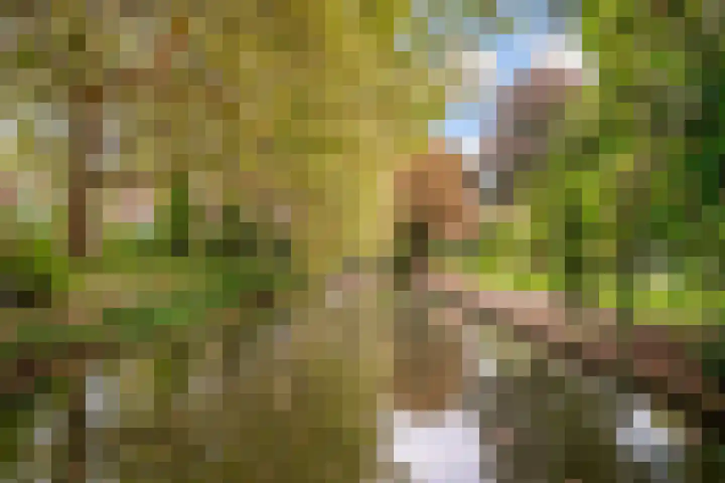 Zeemanlaan 122 Utrecht thumbnail 34