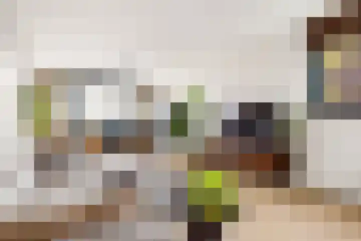 Zeemanlaan 122 Utrecht thumbnail 6