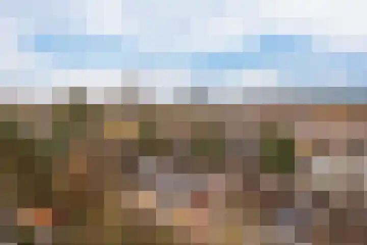 Zeemanlaan 134 Utrecht thumbnail 16