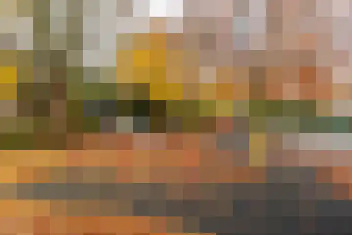 Zeemanlaan 134 Utrecht thumbnail 35