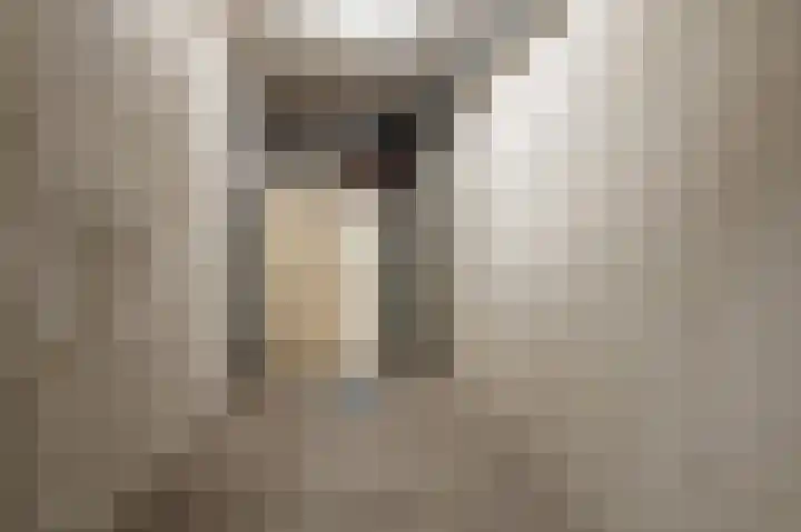 Zeemanlaan 164 Utrecht thumbnail 25