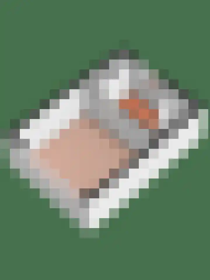 Zeemanlaan 164 Utrecht thumbnail 31