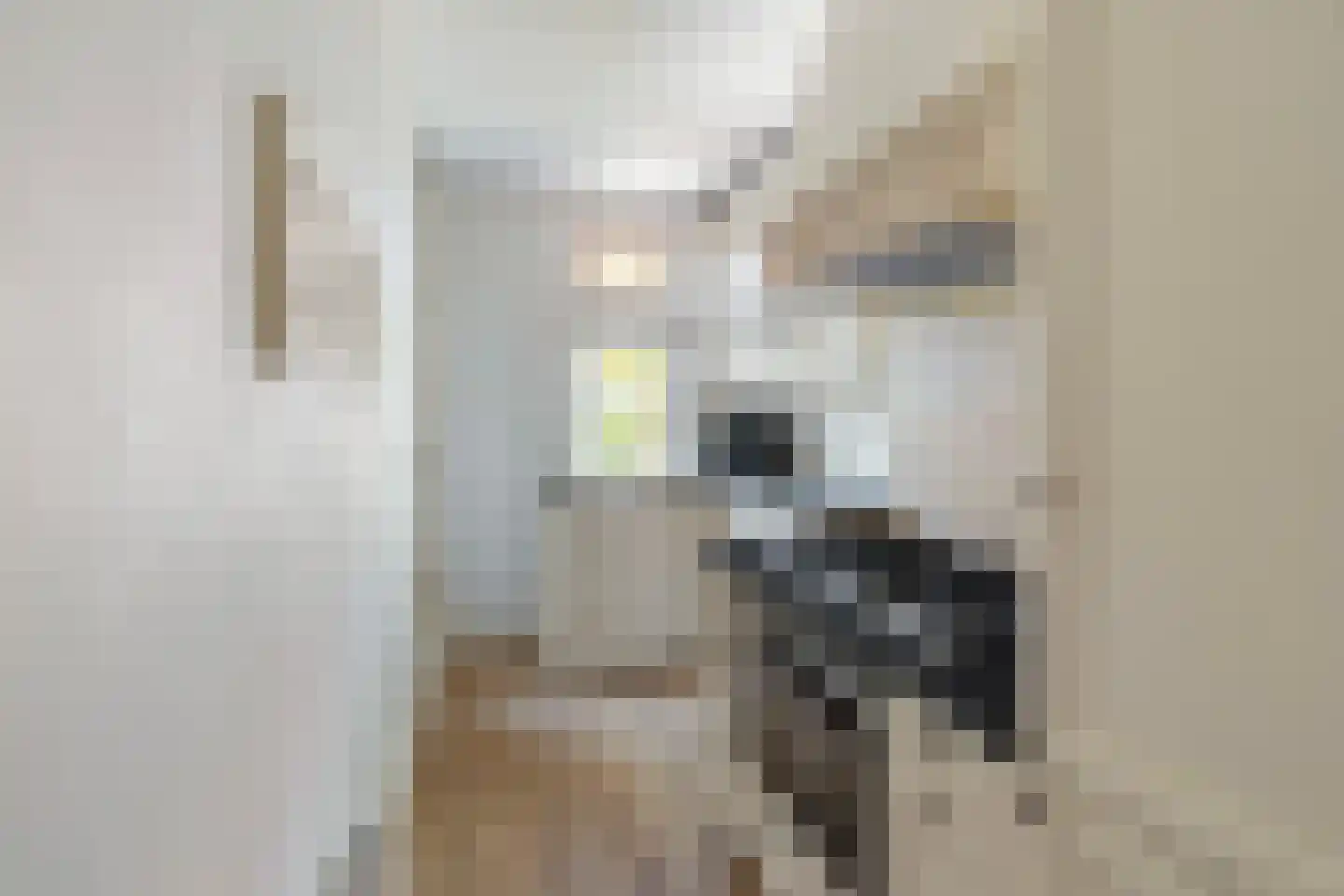 Zeemanlaan 18 A Leiden thumbnail 11
