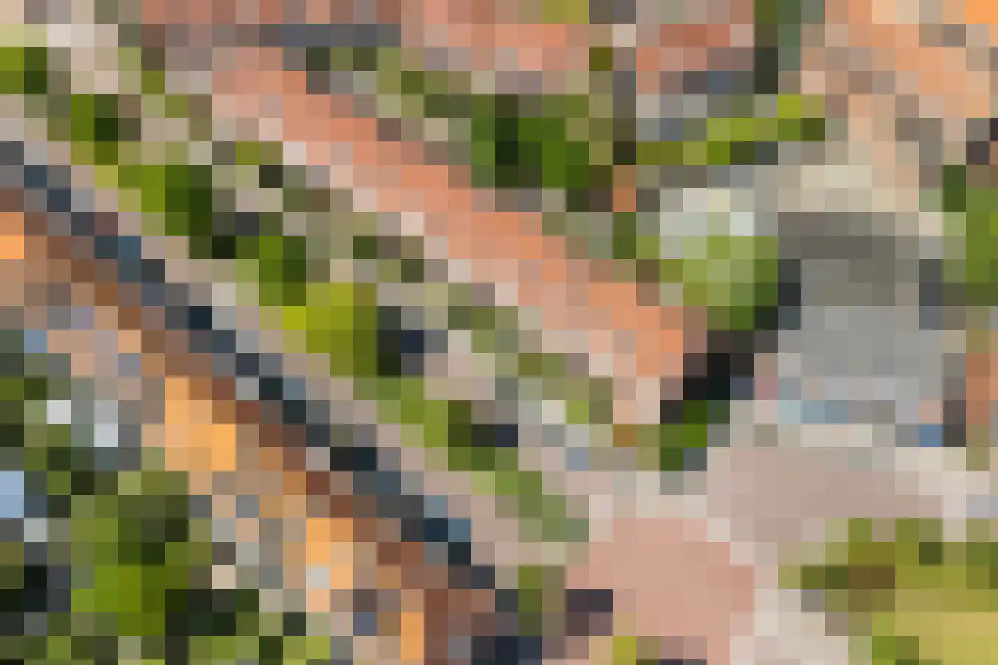 Zeemanlaan 18 A Leiden thumbnail 33