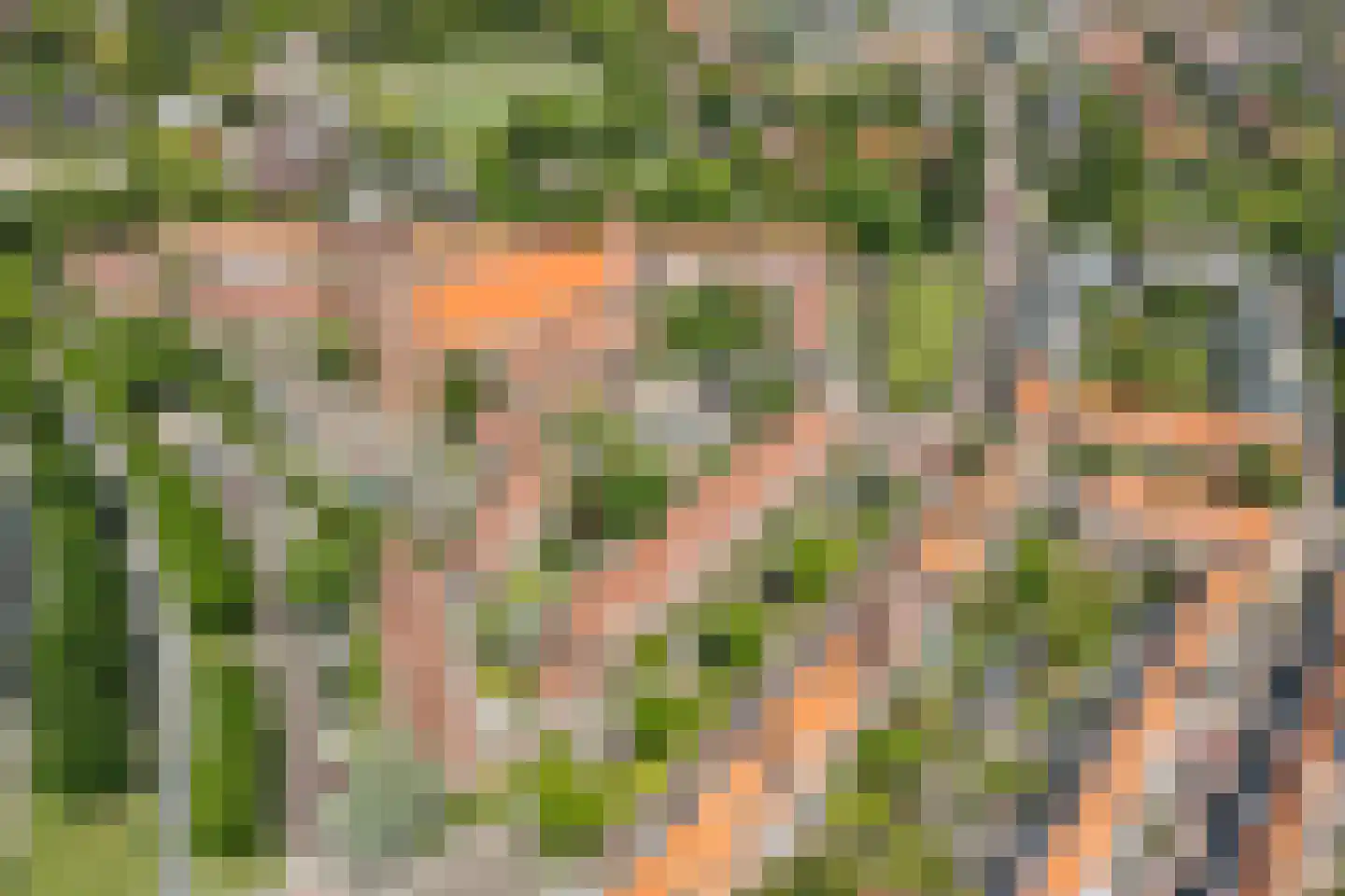 Zeemanlaan 18 A Leiden thumbnail 38