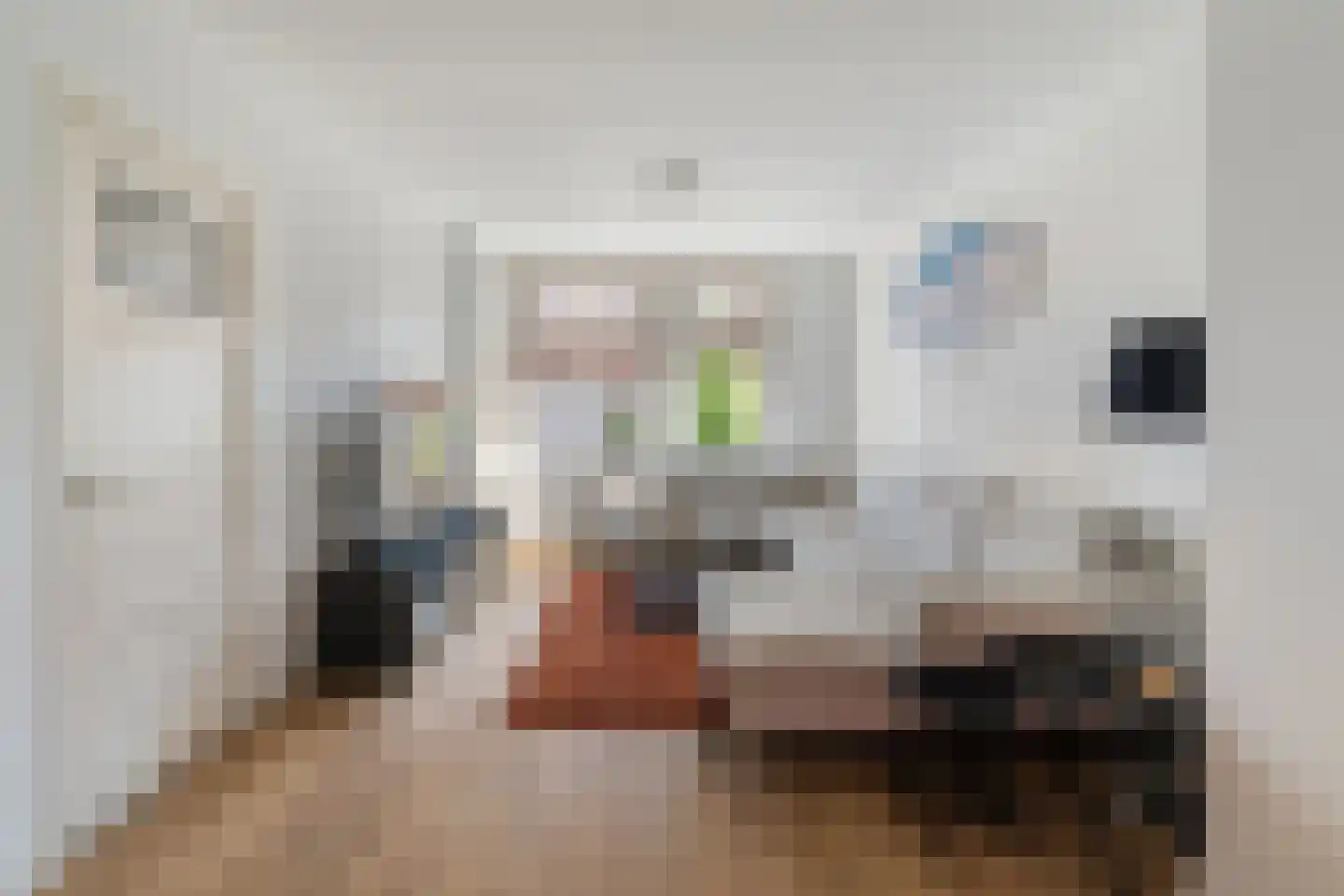 Zeemanlaan 18 A Leiden thumbnail 5