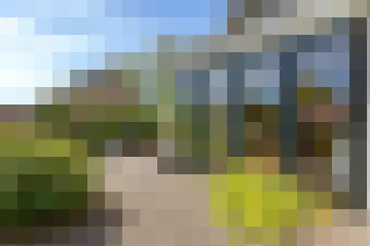 Zeemanlaan 19 Badhoevedorp thumbnail 24