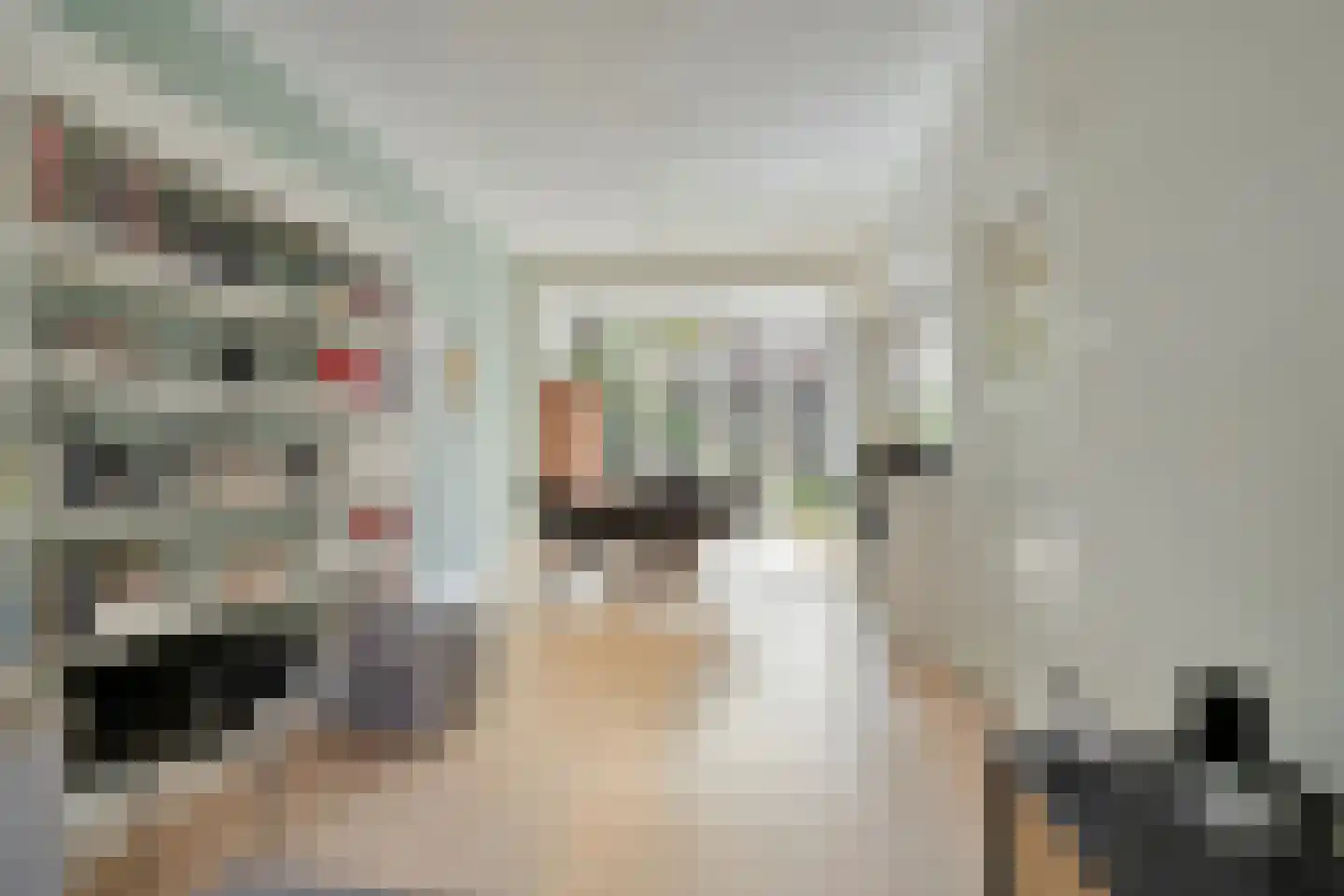 Zeemanlaan 19 Leiden thumbnail 10