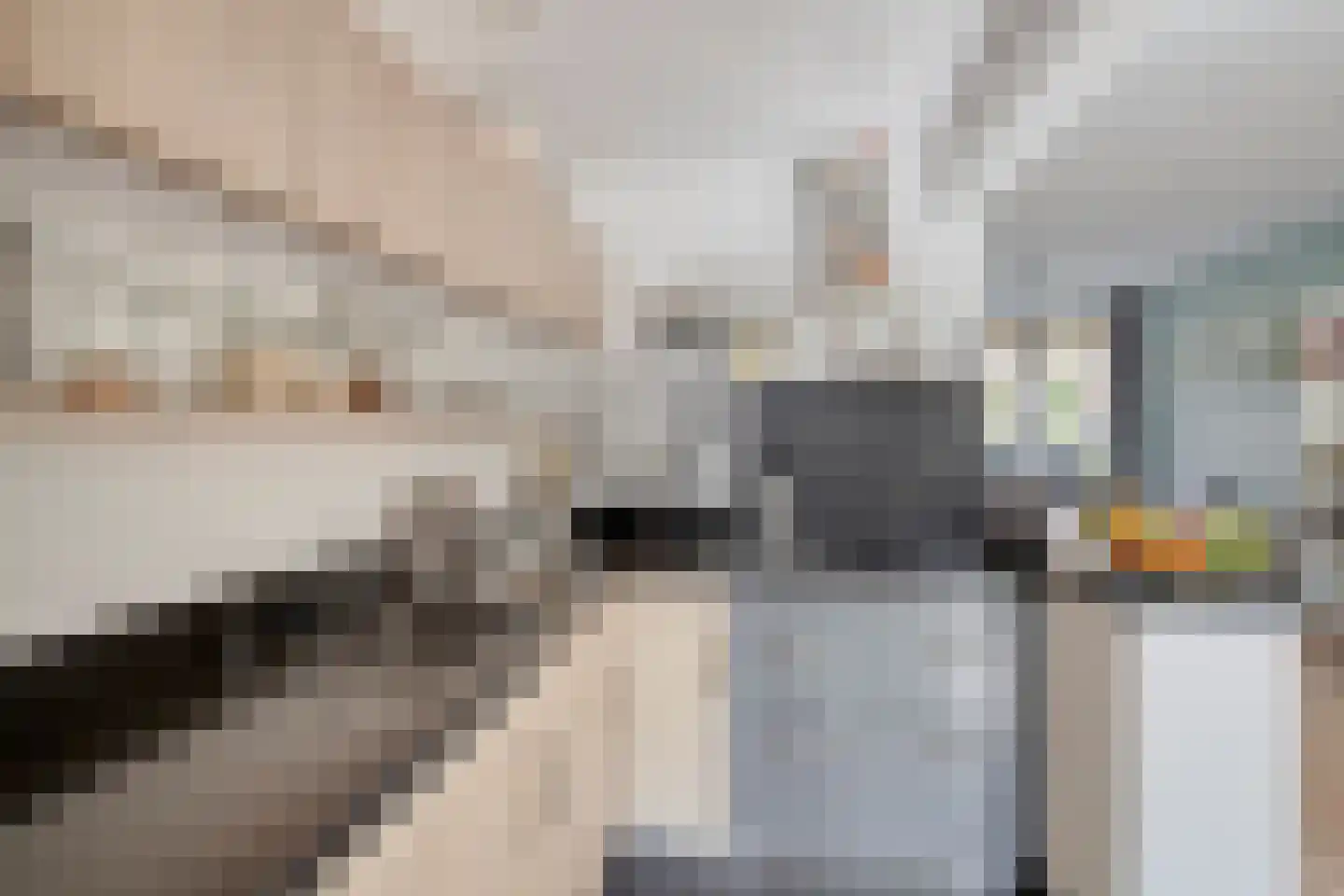 Zeemanlaan 19 Leiden thumbnail 16