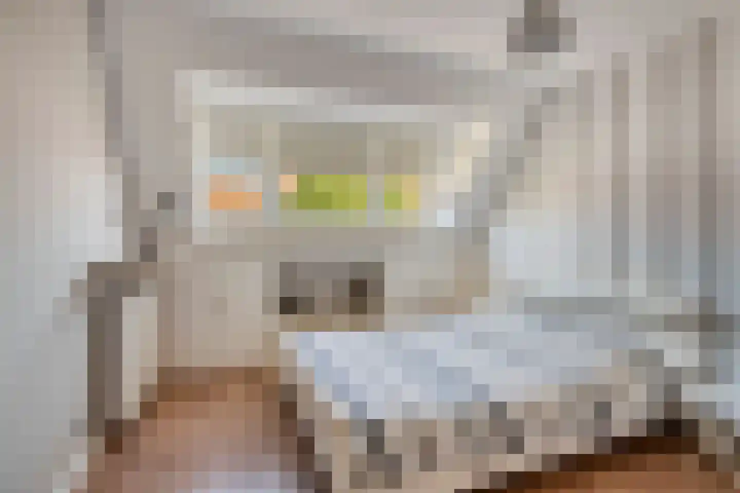 Zeemanlaan 19 Leiden thumbnail 30