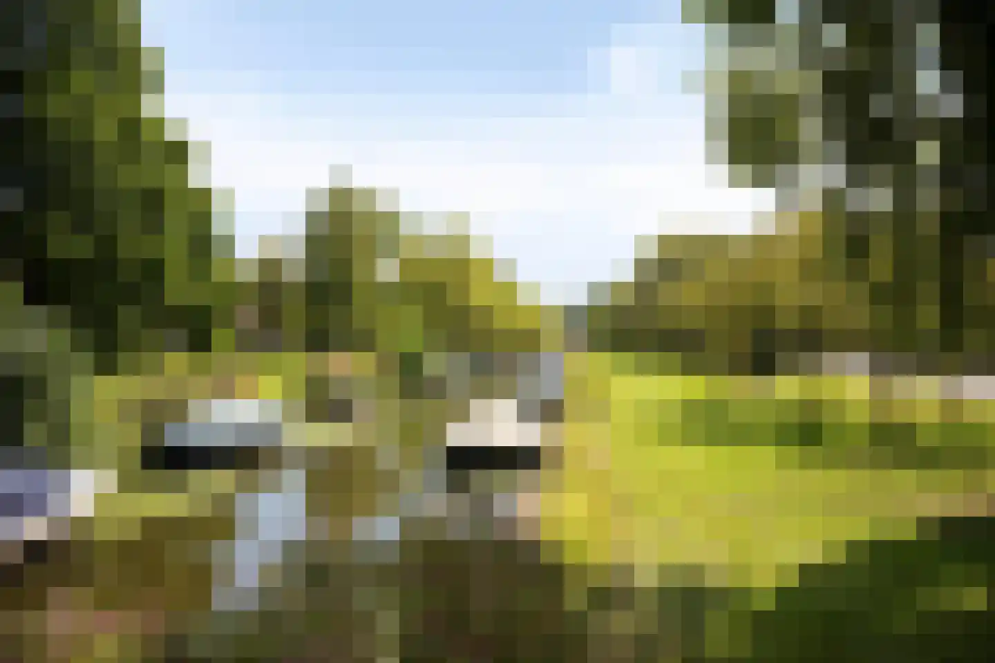 Zeemanlaan 19 Leiden thumbnail 43