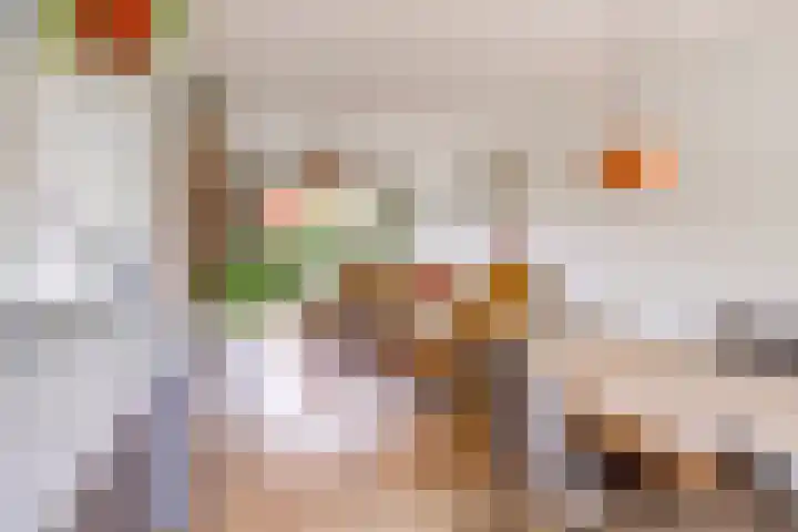 Zeemanlaan 19 Utrecht thumbnail 14