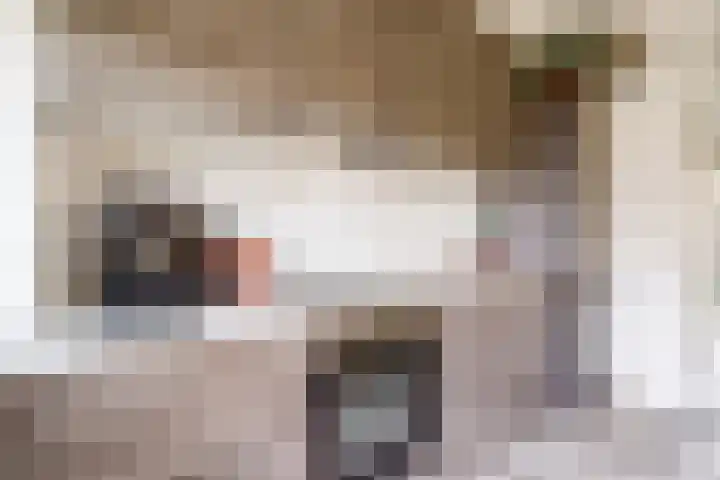 Zeemanlaan 19 Utrecht thumbnail 16